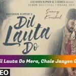 दिल लोटा दो Dil Lauta Do Lyrics in Hindi - Jubin Nautiyal 9 Dil Lauta Do Lyrics Jubin Nautiyal